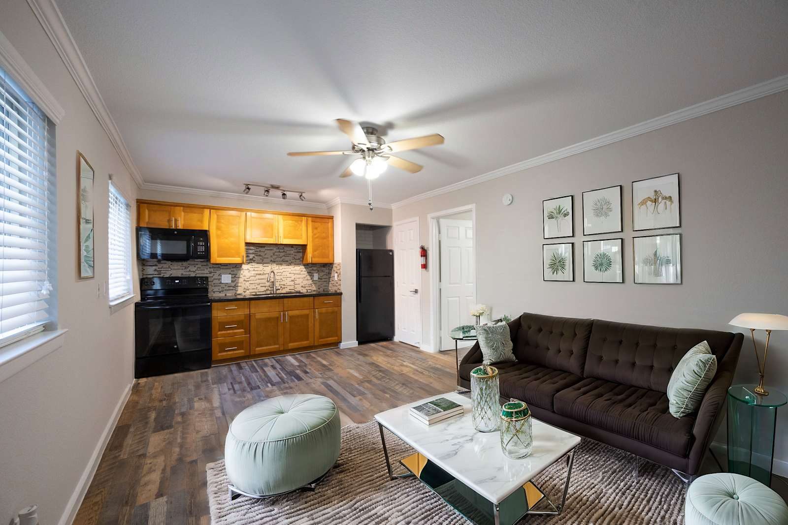 Living room and kitchen